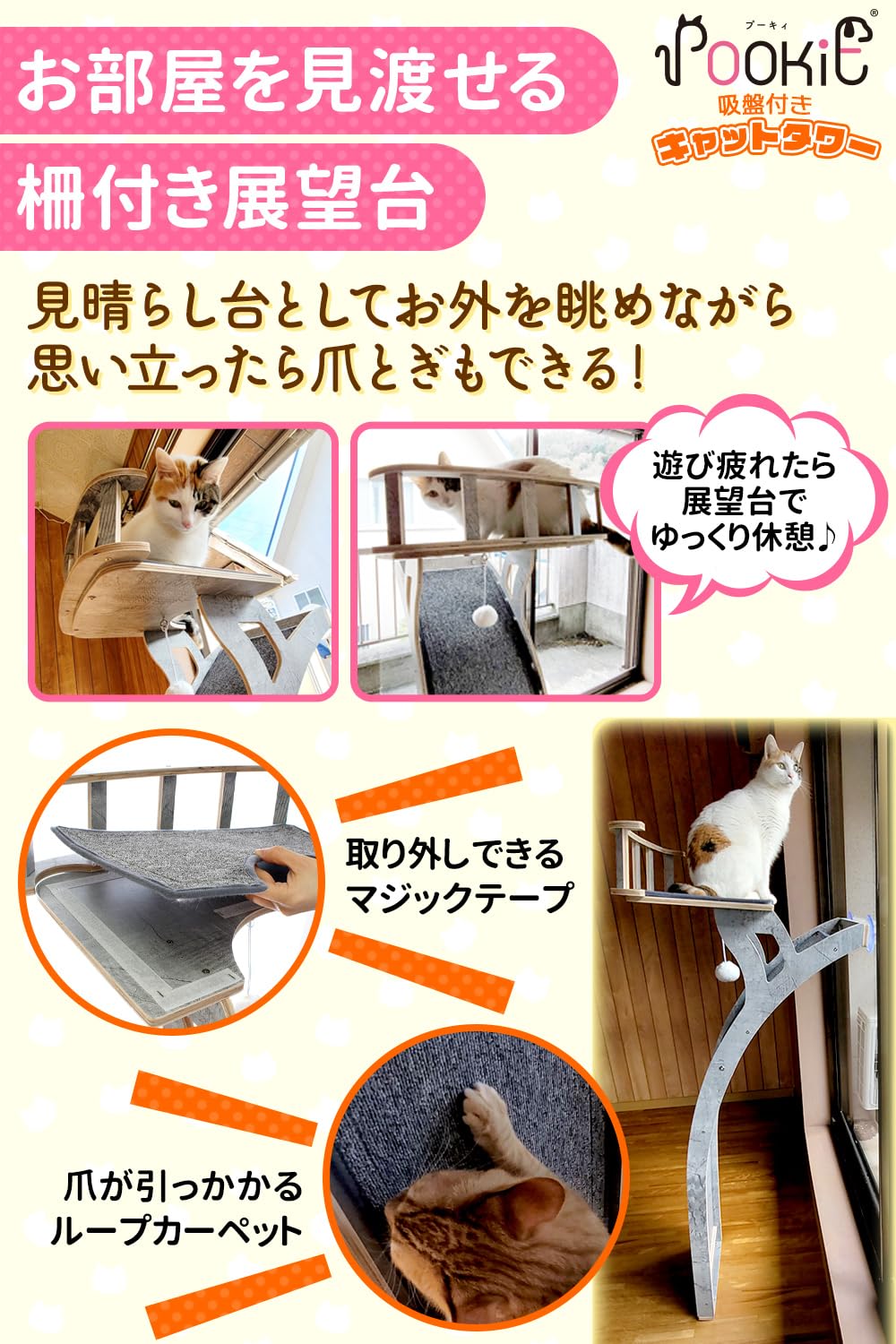 Amazon | 【獣医師監修】 猫 窓 ベッド キャットタワー 吸盤 木製 猫